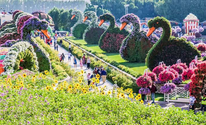 Dubai Miracle Garden, Dubai, United Arab Emirates